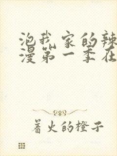 泡我家的辣妹动漫第一季在哪里更新