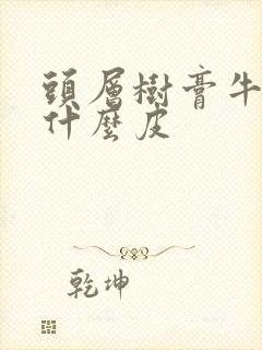 头层树膏牛皮是什么皮封面