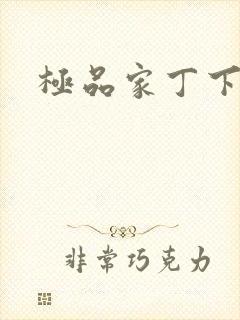 极品家丁下载