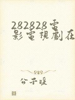 282828电影电视剧在线观看高清