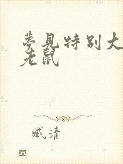 梦见特别大的大老鼠