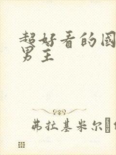 超好看的国漫双男主