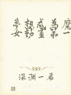 梦想成为魔法少女动画第一季封面