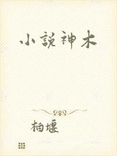 小说神木封面