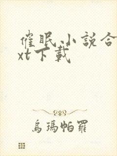 催眠小说合集txt下载