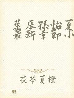 叶辰孙怡夏若雪最新章节小说心