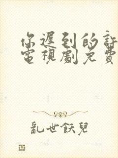 你迟到的许多年电视剧免费完整版