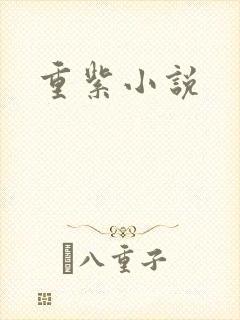 重紫小说