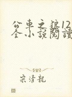 公车之狼12集全小说阅读封面