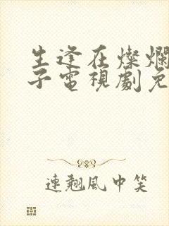 生逢在灿烂的日子电视剧免费