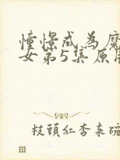 憧憬成为魔法少女第5集原版封面