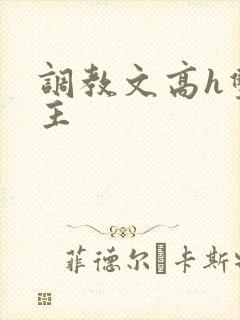 调教文高h双男主