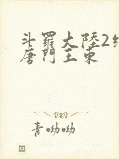 斗罗大陆2绝世唐门王东封面