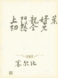 上门龙婿叶辰萧初然全免