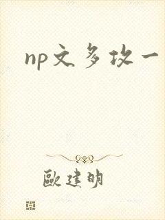 np文多攻一受