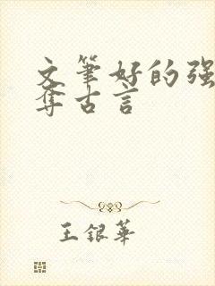 文笔好的强取豪夺古言封面