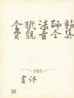 全职法师动漫免费观看全集完整版