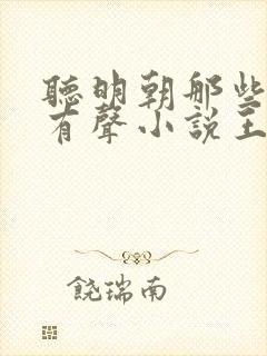 听明朝那些事儿有声小说王更新