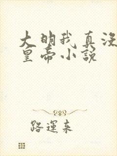 大明我真没想当皇帝小说