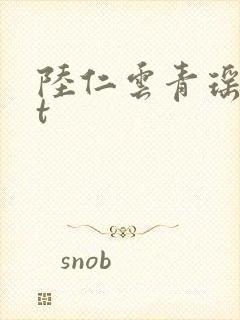 陆仁云青瑶txt封面