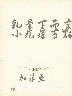 乳晕下面有一个小疙瘩有点硬不痛封面