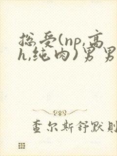 总受(np,高h,纯肉)男男文