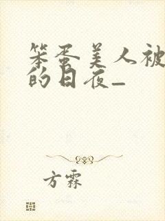 笨蛋美人被疼爱的日夜_