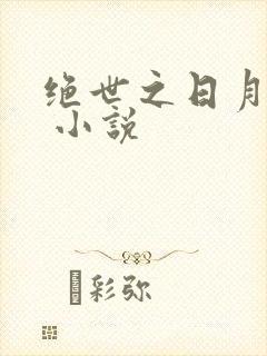 绝世之日月雨浩 小说