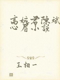 高婉君陈斌和赵心眉小说封面