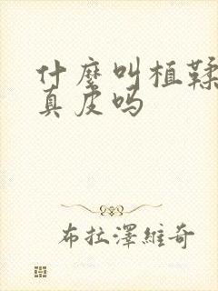 什么叫植鞣皮是真皮吗