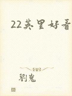 22英里好看吗封面