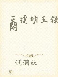 天琼明玉录笔趣阁