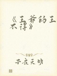 《王爷的王妃惹不得》