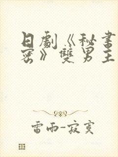 日剧《秘书的秘密》双男主电视剧