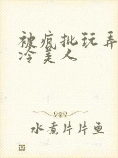 被疯批玩弄的清冷美人