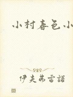 小村春色小说封面