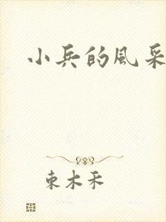 小兵的风采封面