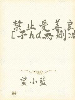 禁止爱善良的小[子hd无删减播放封面