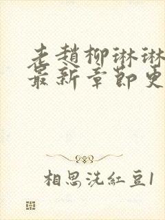 老赵柳琳琳小说最新章节更新封面