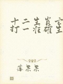 十二生肖它排中打一准确生肖