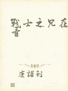 战士之兄在线观看封面