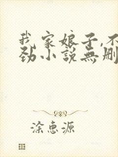 我家娘子,不对劲小说无删减版