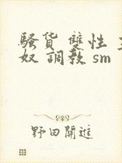 骚货 双性 主奴 调教 sm