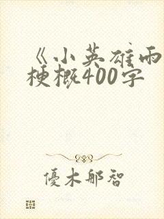 《小英雄雨来》梗概400字封面