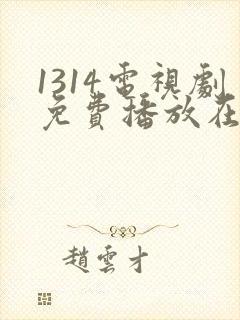 1314电视剧免费播放在线观看封面
