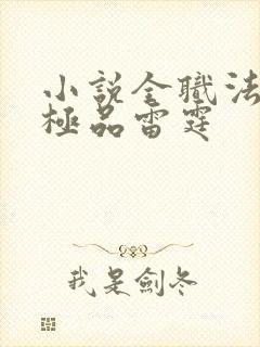 小说全职法师之极品雷霆