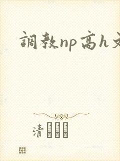 调教np高h文