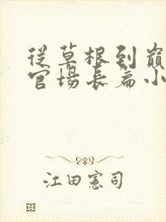 从草根到巅峰的官场长篇小说