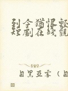 到今犹恨轻别离短剧在线观看免费高清全集