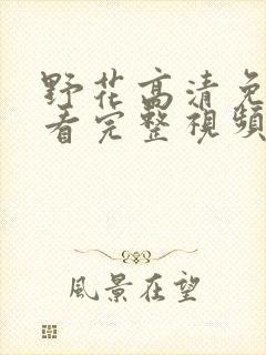 野花高清免费观看完整视频播放封面